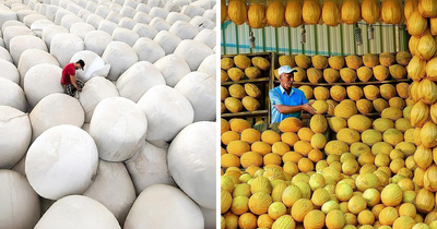 64 Beautifully Candid Photos Showing Life On The Streets Of Istanbul