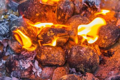 Recreational fires and barbecues to be banned in Cairngorms National Park