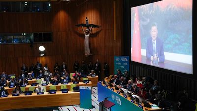 China announces landmark pledge to cut carbon emissions but experts say it is 'too timid'