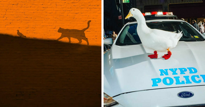 This Instagram Account Proves Photography Is More Than Just A Picture, And These 50 Pics Show Why