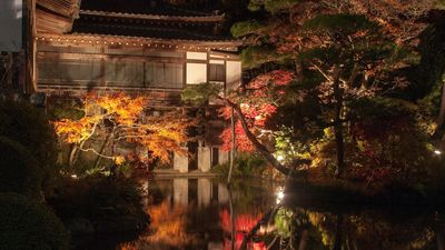 Solar uplighters are turning backyard trees into living sculptures – a fall gardening trend we are so on board with, plus we've found some with 20% off