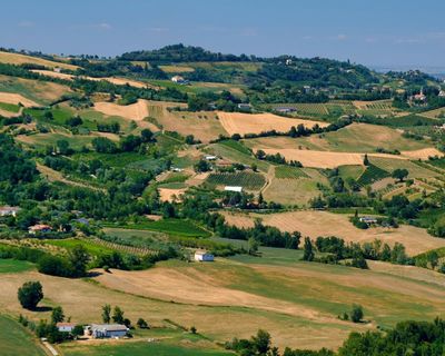 Think lambrusco is too sweet? Have another taste …