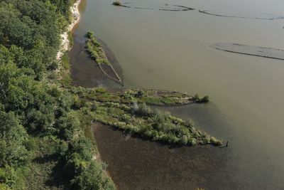 Scientists shocked as marine life found living on WWII explosives