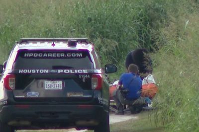 Five bodies have been found in Houston area bayous in a week. Cops insist it is not the work of a serial killer