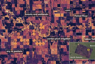 First radar images from new Earth-mapping satellite showcase Maine coast and Minnesota farmland