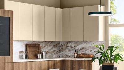 Sherwin-Williams' Color of the Year is totally dividing decorators – but I think this controversial nostalgic trend is actually long overdue for a return