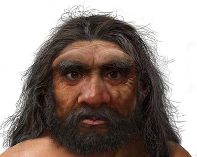 Study of 1m-year-old skull points to earlier origins of modern humans