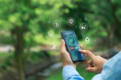 Trump Never Expected This—His Most-Hated Stocks Are Crushing Nvidia, Gold Miners