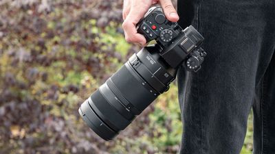 Panasonic Lumix S 100-500mm f/5-7.1 O.I.S. review: a super zoom