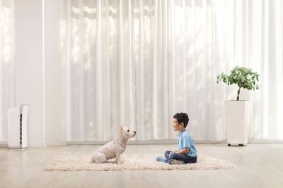 Children who grow up with dogs less likely to have asthma – study