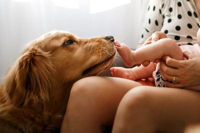 Babies have lower risk of developing asthma if they grow up around dogs