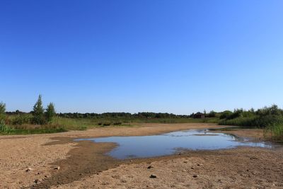 Nature battered by ‘chaotic’ weather extremes driven by climate change – report