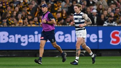 'Net negative': Cats' take on GF player availability