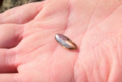 Family visiting state park unearths 3-carat diamond worth thousands