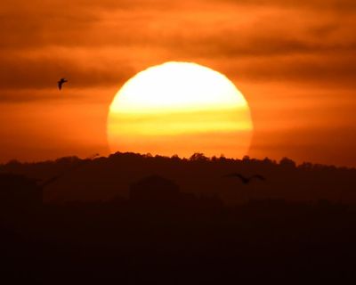 Abnormally hot days may hit Australia’s south-east after rare sudden warming over Antarctica