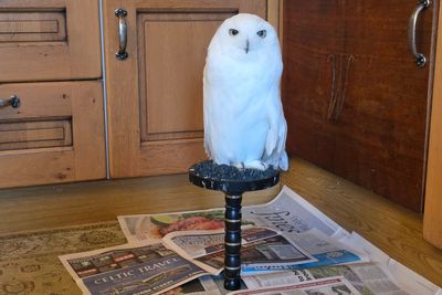 Voices: Over coffee and toast, I find joy in the newspapers