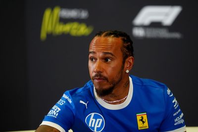 Formula One champion Lewis Hamilton shares fears about his unwell dog