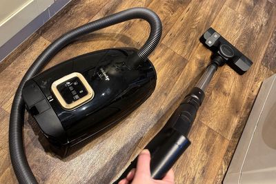 11 best cylinder vacuums to combat dirty floors, tried and tested