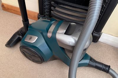 11 best cylinder vacuums to tackle pet hair, carpets, and everyday mess