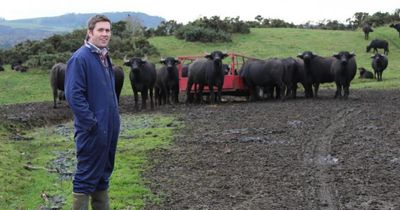 Scottish buffalo farm row as angry investors slam Holyrood showcase invite