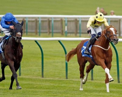 Zeus Olympios soaring to new heights with latest Newmarket romp