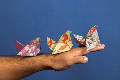 Australian bird of the year 2025: craft your own origami bird with this simple guide