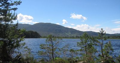 The Scottish loch 'like no other' where a 'rare' and 'punky' bird can be found
