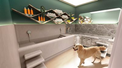 Pet spas, Michelin chefs and an F1 simulator: how brands are selling homes to the global super rich