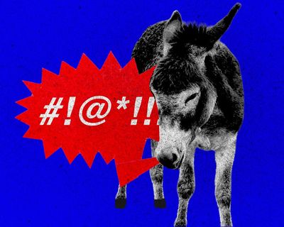 Democrats race to embrace swearing and angry comebacks – but will it work?