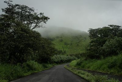 Galápagos Islands, wildlife haven, faces a sexual violence epidemic: ‘Protection is nonexistent’