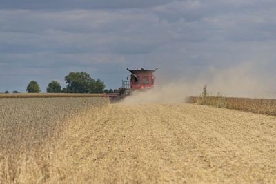 Meat is a leading emissions source – but few outlets report on it, analysis finds