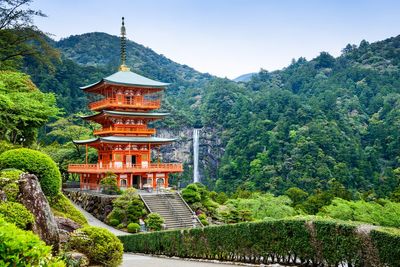 'Things Are A Lot Cheaper Out Here': U.S. Teacher Chooses Rural Japan Over Burnout, Gets By On $1,700 A Month