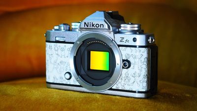 Who makes the sensor inside your Nikon camera? (Hint: it isn't just Sony!)