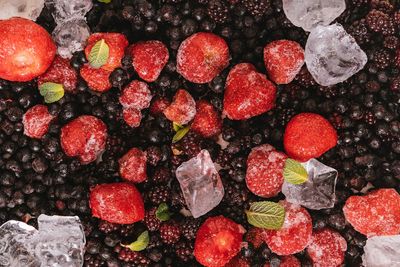 6 Frozen Food Brands With Cult Followings You’ve Never Heard Of
