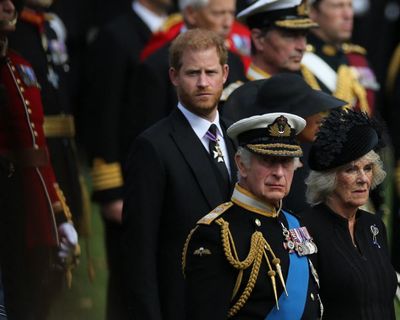 Prince Harry says ‘sources intent on sabotage’ behind reports of strained meeting with King