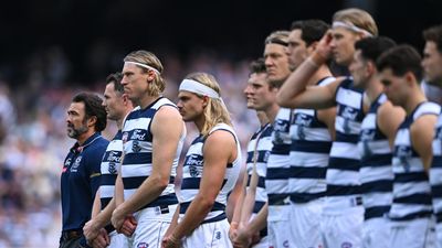 'Forks in the road': flat Cats keen to reload again