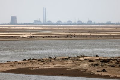 Zaporizhzhia Nuclear Plant Off Grid; Russia, Ukraine Trade Blame