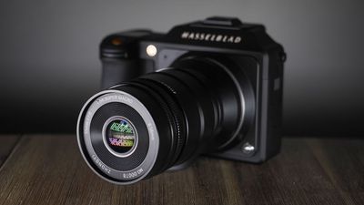 Zhongyi Mitakon 55mm f/2.8 1-5x Macro review: Is this US$399 lens the mightiest macro lens of all?