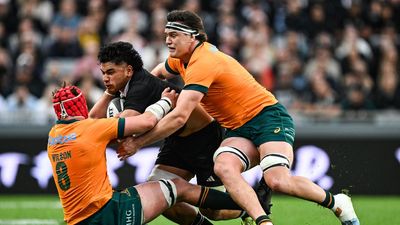 Frustrated Wallabies coach says Bledisloe loss 'on us'