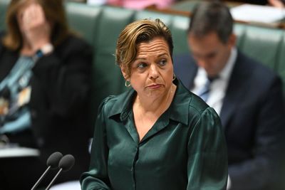 Labor’s proposed FoI clampdown ‘ripe’ for high court challenge, legal expert says