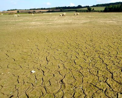 What are droughts and how worried should we be about them?
