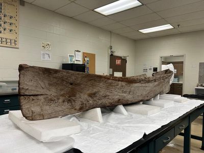 ‘It’s incredibly exciting’: ancient canoe unearthed after Hurricane Ian stormed through Florida