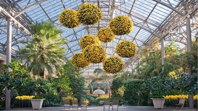 'Every day is a flower show' – at Longwood Gardens horticulture is celebrated as art in the form of breathtaking botanical spectacles