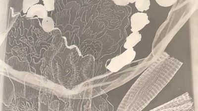 Young artist from Martinique sheds light on the plight of coral reefs
