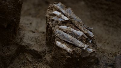 30,000-year-old 'personal toolkit' found in the Czech Republic provides 'very rare' glimpse into the life of a Stone Age hunter-gatherer