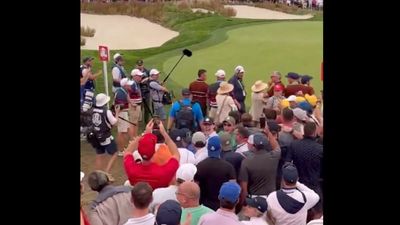New Video Shows Ryder Cup Fan Throwing Beer at Rory McIlroy's Wife