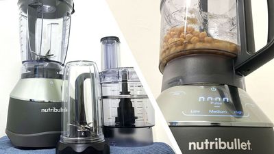 The Nutribullet Triple Prep System is a blender and food processor combo that handled almost every recipe I could throw at it