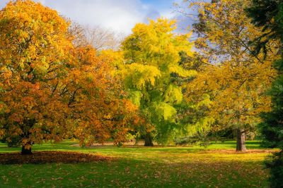 The top botanical gardens and arboretums in the UK and Ireland to visit this autumn