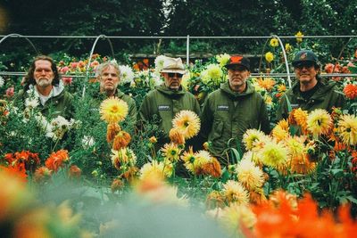 Welsh rock band Super Furry Animals to reform for tour next year