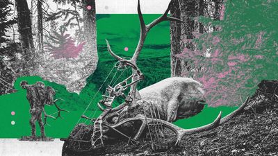 It Took Me Three Years To Bag a Bull Elk. Success Is the Adventure, But That’s a Big Bull (Part 2)